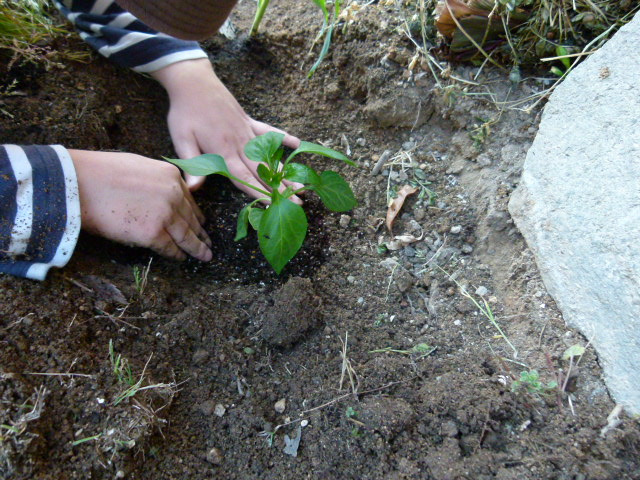 5645869924_88b0a0fbff_z