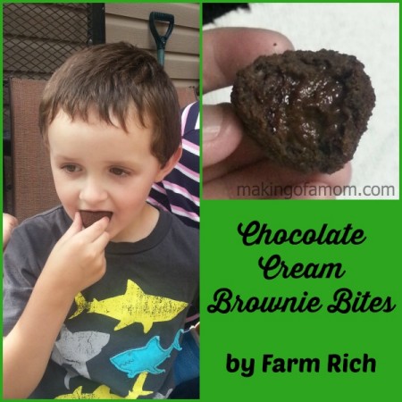 Brownie-Bites-FarmRich