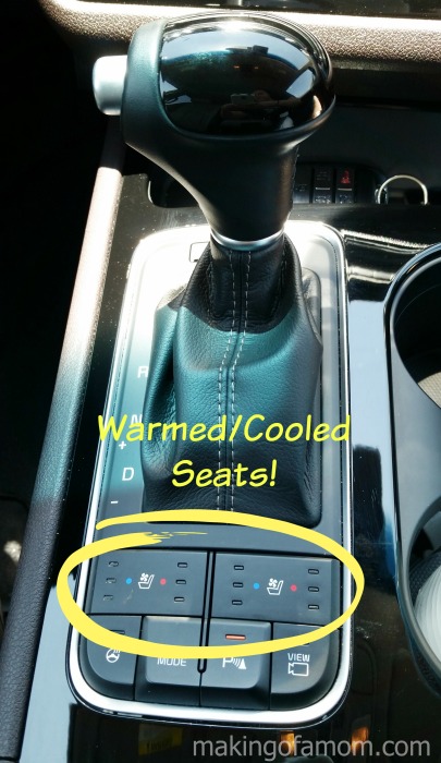 Warmed-Cooled-Seats