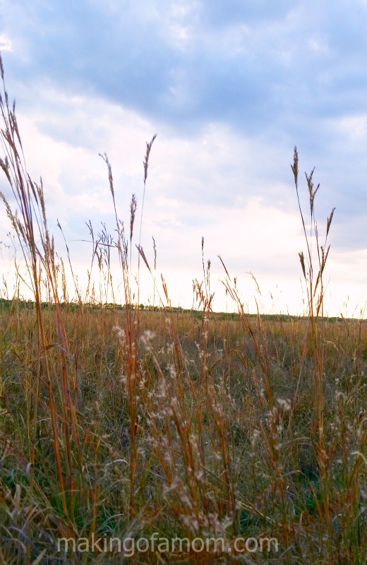 Kansas-Field