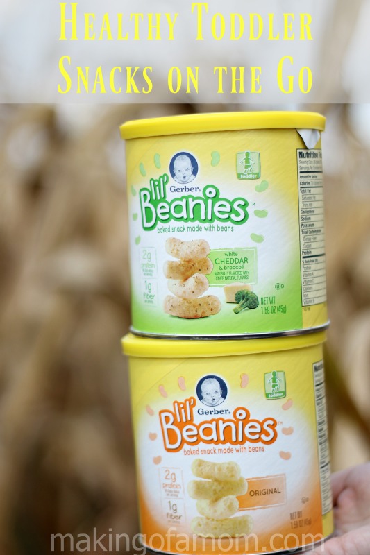 healthy-toddler-snacks-go